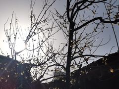 -胡氏古民居建筑