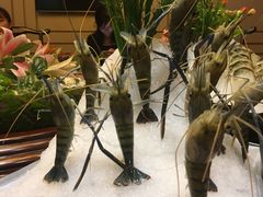 -海通1号(梅峰店)