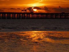 -宝安西湾红树林湿地公园