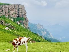 -芦芽山旅游度假区