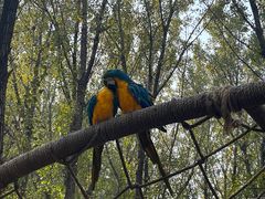 -北京野生动物园