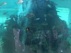 -鸿通城购物中心