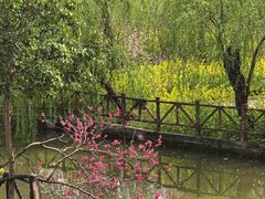-南汇桃花村