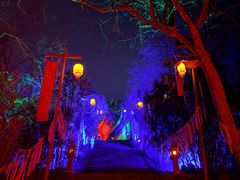 -丰都鬼城名山景区