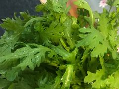 蒿子杆-四季大盘涮肉园(天竺店)