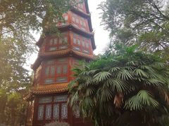 -房湖公园