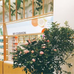 -悦诗风吟innisfree