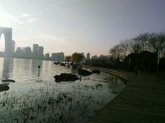 -金鸡湖景区