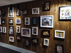 -百好乐宠物友好餐厅(朝外大街店)