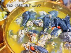 -Darling Queen·Mini·Live·House