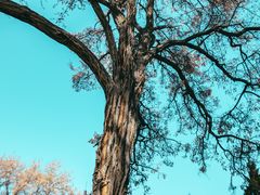 -张掖大佛寺景区