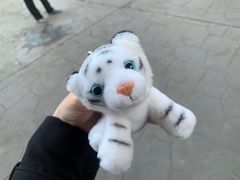 -乐和乐都主题乐园