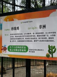 -优沃得自然教育农场·冰雪乐园·生日会·研学