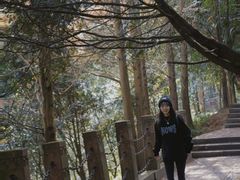 -凤栖山