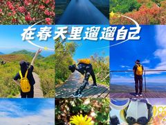 -大围山国家森林公园