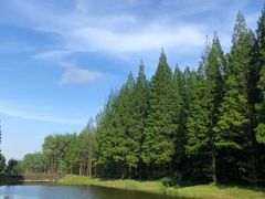 -黄海国家森林公园