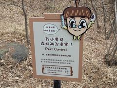 -北京西山国家森林公园