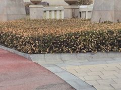 -秦皇岛阿尔卡迪亚滨海度假酒店