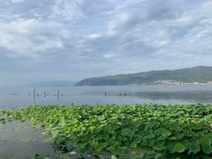-大理洱海
