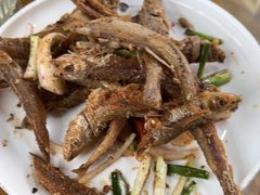 -芦茨金富饭庄·25年老字号·专做稻草鸡