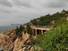 -广东惠东海龟国家级自然保护区