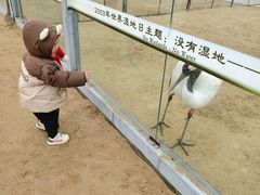 -盐城丹顶鹤湿地生态旅游区