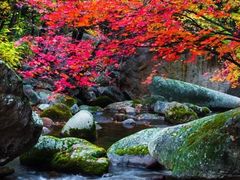 -本溪老边沟风景区