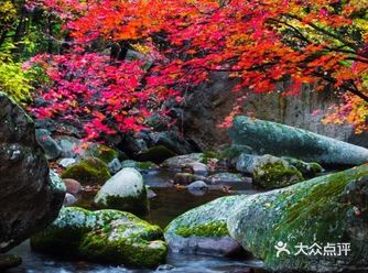 美哭了的秋色，大概就是如此吧——辽宁本溪老边沟