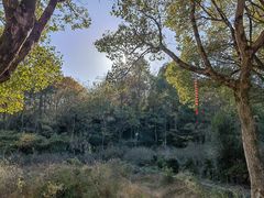 -天台山赤城山景区