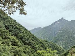 -太平万花山景区