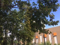 -山东省青岛第二中学(江西路分校)
