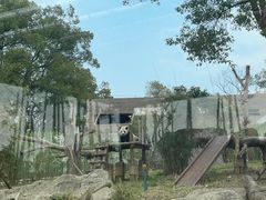 -武汉动物园