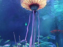 -沈阳海洋探索中心