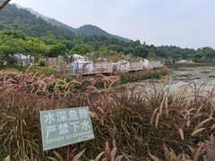 -南丹山森林王国