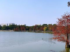 -海珠湖公园