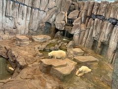-西安曲江海洋极地公园