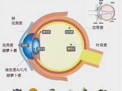 -沫芮眼镜·蔡司官方授权店(人民广场店)