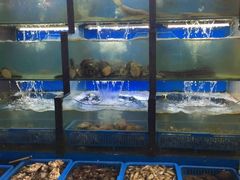 水产区-老东镇啤酒屋海鲜加工·蒸汽海鲜·海鲜烧烤(台东店)