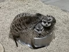 -海合安武汉极地海洋公园