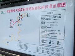 -北京鹫峰国家森林公园