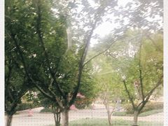 -上海滴水湖皇冠假日酒店