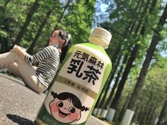 -黄海国家森林公园