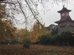 -四川大学(华西校区)