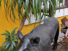 -ALBERGUE 1601 婆仔屋葡国餐厅