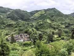 -杨家堂村