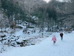 -秦岭风景区