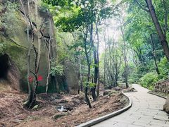 -六里坪国家森林公园
