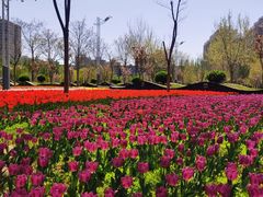 -廊坊文化艺术中心