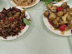 -杨记拉面总店