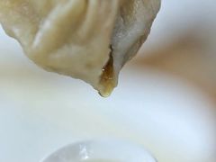 -清真老铁家灌汤包